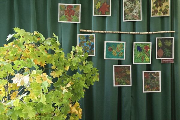 photo_2025-10-23_14-00-30